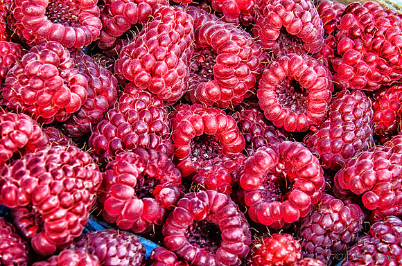 07-21 Farmers' Market-52