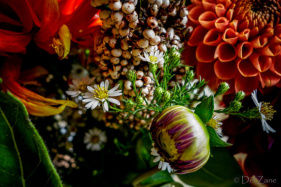 09-21 Bouquet Bokeh--13