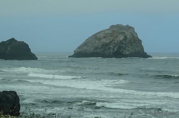 SDZ Trip Pix--32