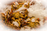 Pike Place Market Nourishment-5