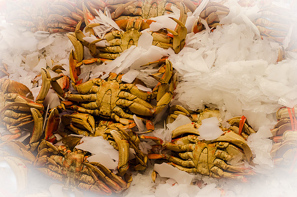 Pike Place Market Nourishment-5