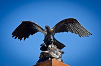 Bronze Eagle-12
