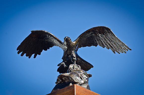 Bronze Eagle-12