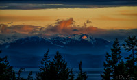 The Very Distant Olympic Mountains-14