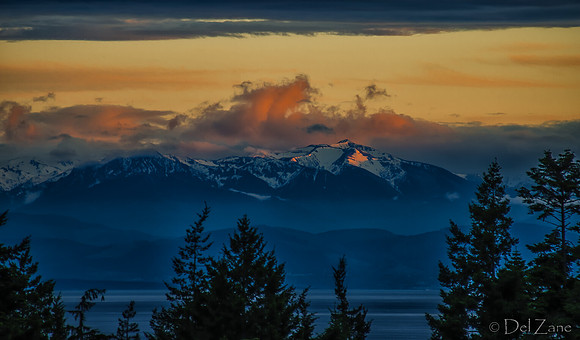 The Very Distant Olympic Mountains-14