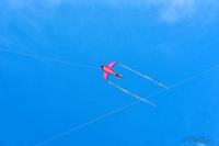 06-06 Kites TIFFs--11