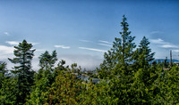 07-11 Fogust-6