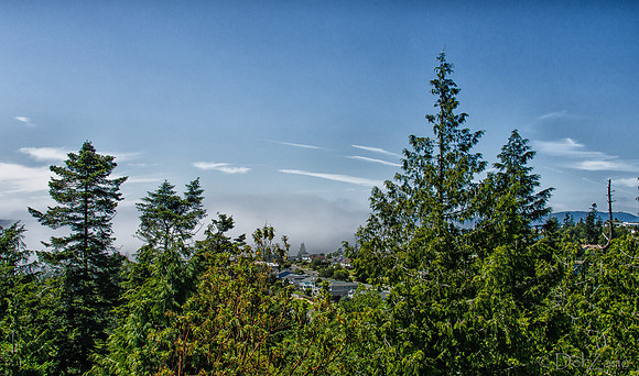 07-11 Fogust-6