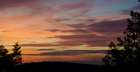 _DSC4115