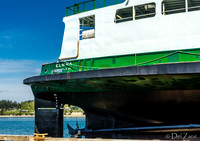 Elwha-4