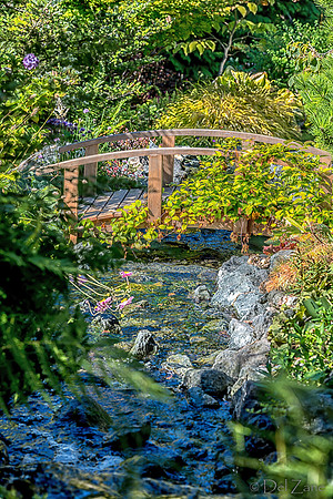09-12 Shadra's Fall Garden Stroll--34
