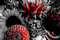 09-19 Colorized Bouquet Bokeh-0302