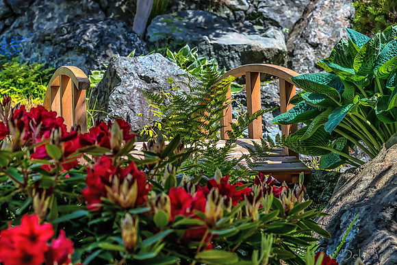 Mother's Day Garden Walk--24
