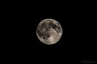 07-11 Super Moon Tiffs--2