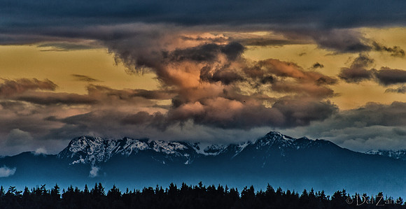 The Very Distant Olympic Mountains-12