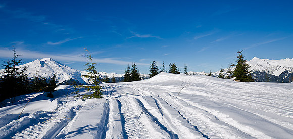 _DSC4996