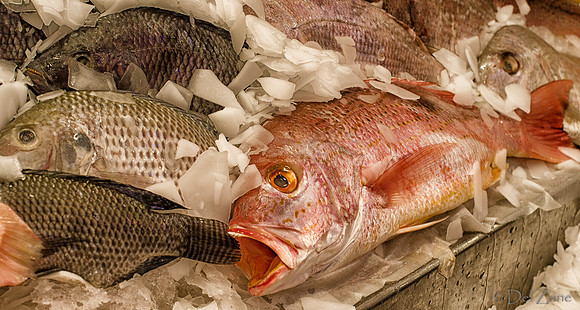 09-28 Pikes Place Market Revisted--11