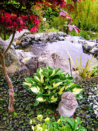 04-01 SDZ Garden Yard JPEGs-008