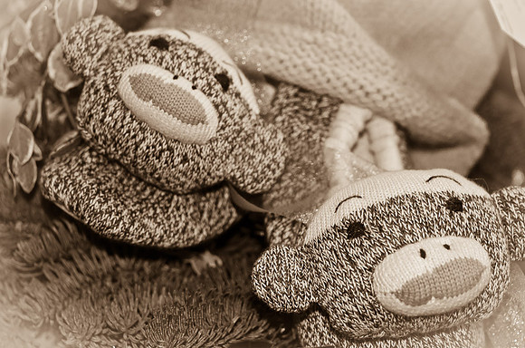 _DSC4779
