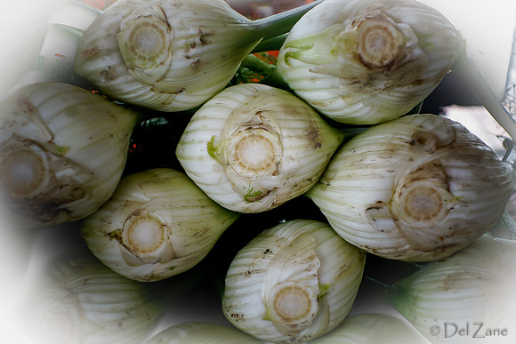 10-05 Farmers' Market--84