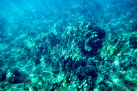 01-18 Makena Underwater TIFFs--8