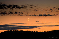08-20 Sliver Moon-2