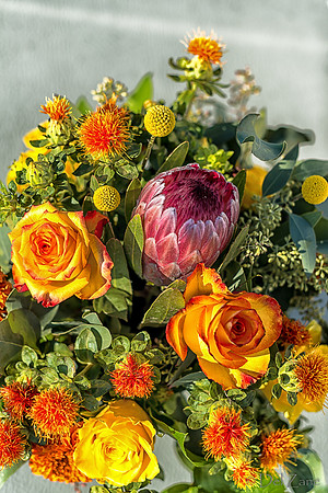 10-01 Bouquet TIFFs--24