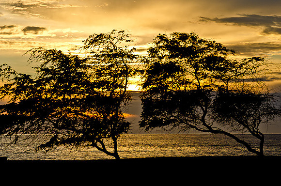 _DSC5519