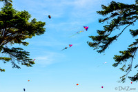 06-06 Kites TIFFs--3
