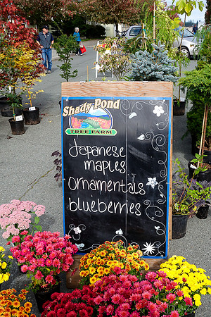10-05 Farmers' Market--146