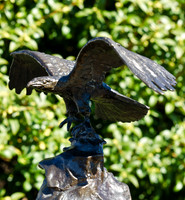 Bronze Eagle-11
