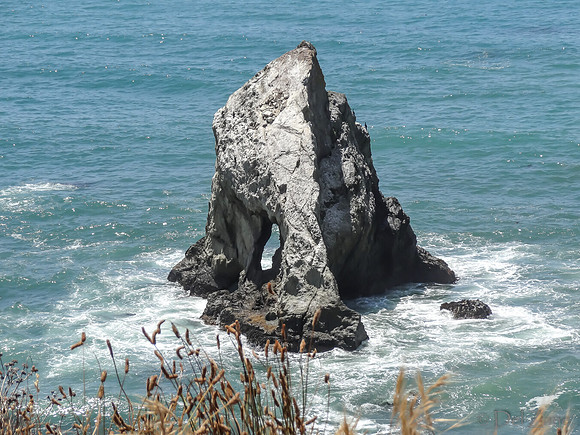 SDZ Trip Pix--38