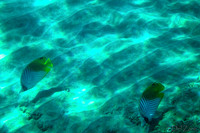 01-18 Makena Underwater TIFFs-