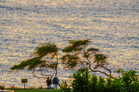 01-28 Aerial Sunset TIFFs-2