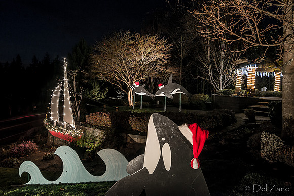11-27-13  Marine Heights Night Xmas Display--7