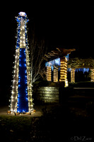 12-03 MH Nighttime Xmas Display--5