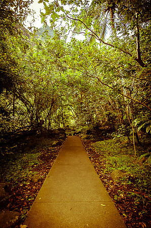 Iao Valley State Park-4