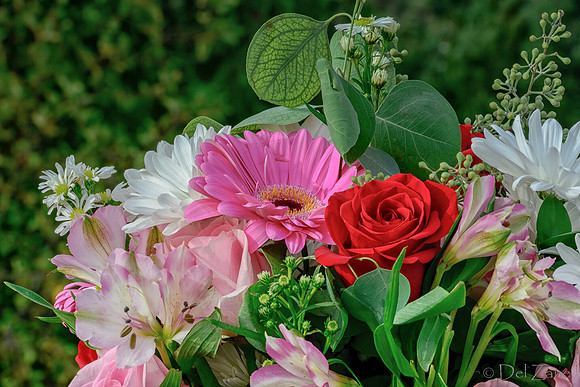 10-30 B'Day Bouquet TIFFs--11