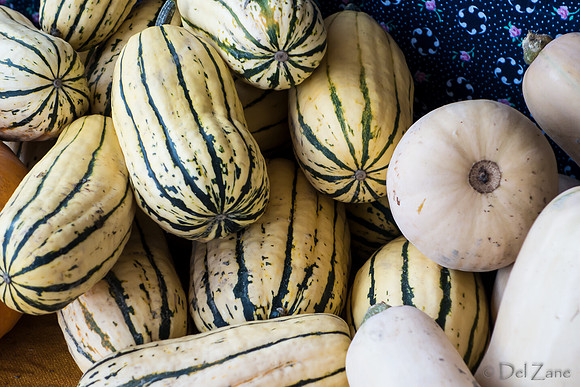 10-05 Farmers' Market--59