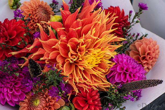 10-05 Farmers' Market--110