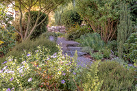 08-17 Shadra Garden 2015 TIFFs--15