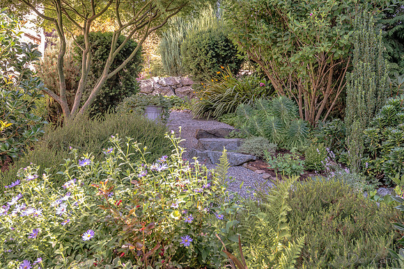 08-17 Shadra Garden 2015 TIFFs--15