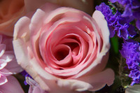 05-03 Macro All 28-300mm D600 Bouquet--13
