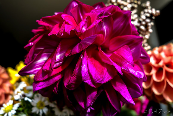 09-21 Bouquet Bokeh--11