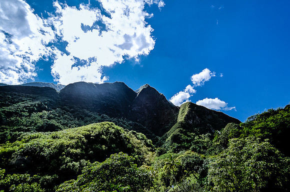 Iao Valley State Park-28