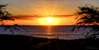01-05 First Sunset Tiffs--8