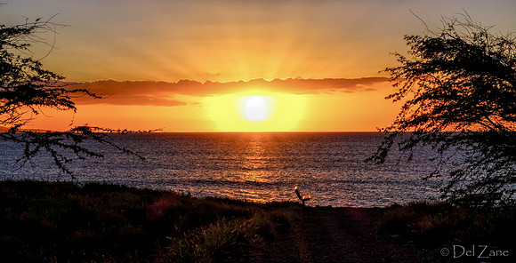 01-05 First Sunset Tiffs--8