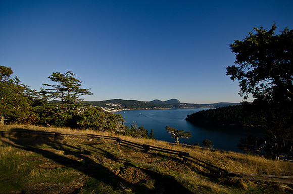 _DSC4246