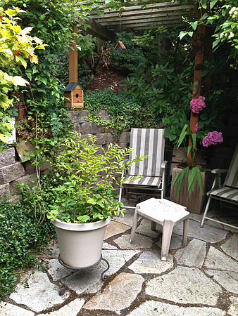 04-01 SDZ Garden Yard JPEGs-929