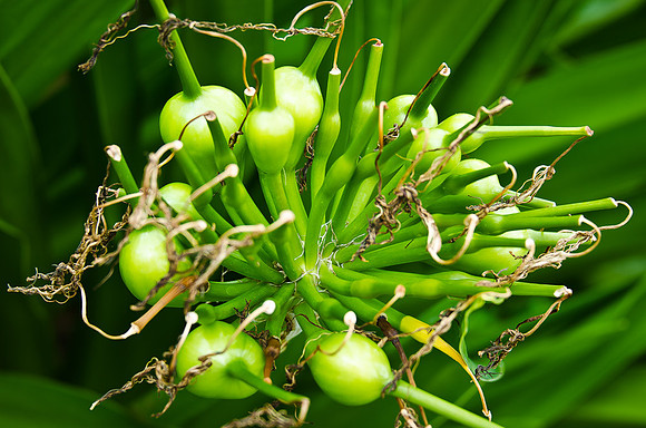 _DSC5289